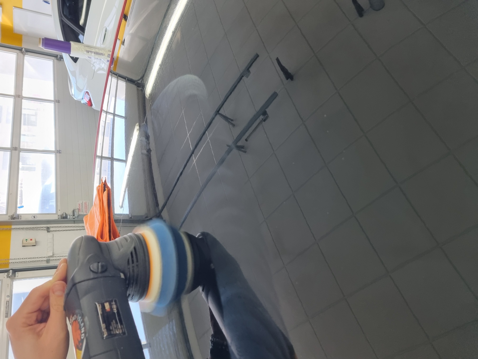 folia fullbody black