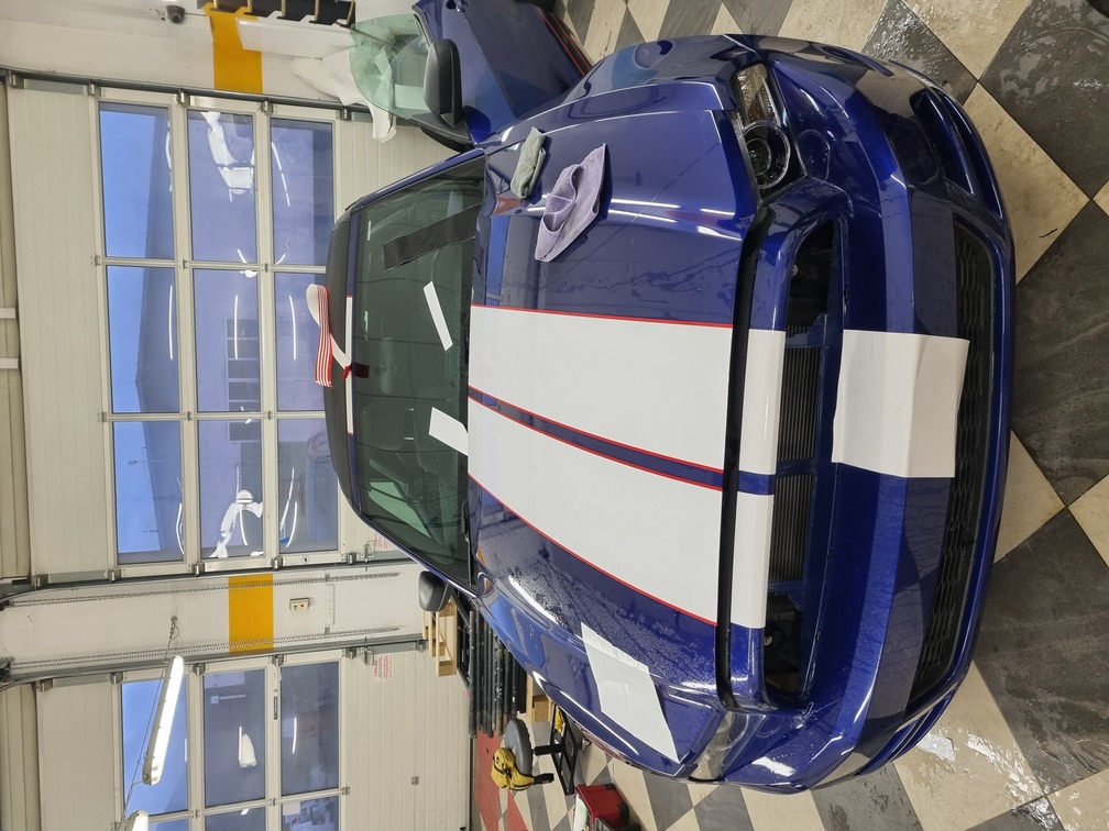 folia fullbody black